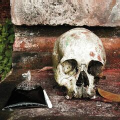 The Gamelan Of The Walking Warriors: Gamelan Beleganjur & The Music Of The Ngaben Funerary Ritual In Bali (CD)