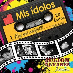 Mis Ídolos - Hoy Mis Amigos!!! (CD)