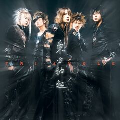 Tri Angle (CD)