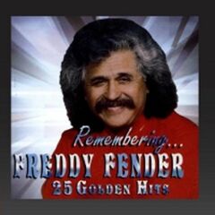 Remembering 25 Golden Hits (CD)