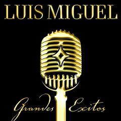 Grandes Exitos (CD)