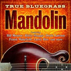 True Bluegrass Mandolin (CD)