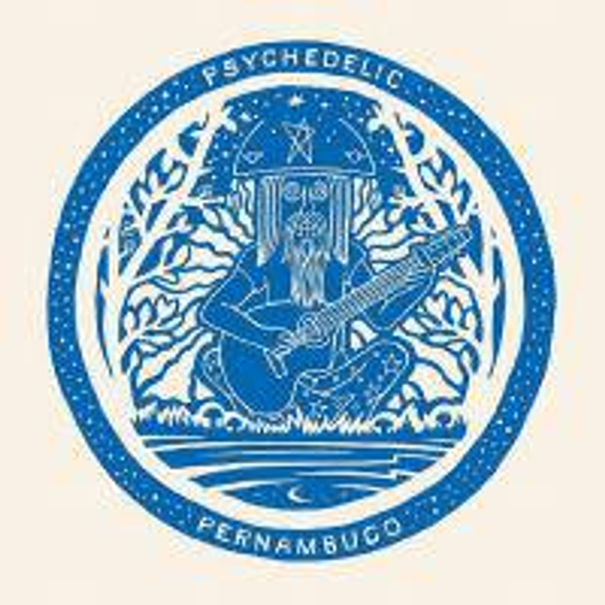 Psychedelic Pernambuco (CD)