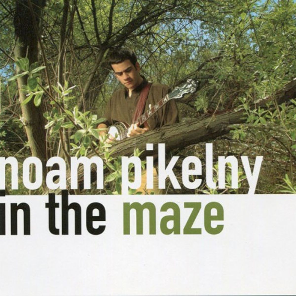 In The Maze (CD)