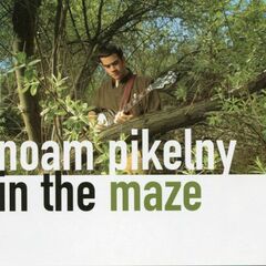 In The Maze (CD)