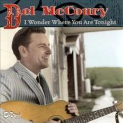 I Wonder Where You Are Tonight (CD)