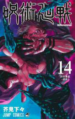 Jujutsu Kaisen (14) (BOOK)