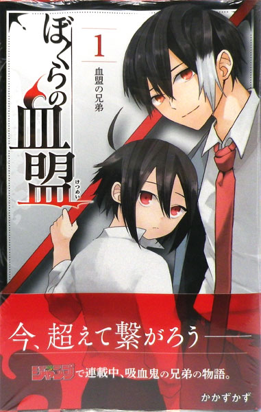 Bokura no Ketsumei (1) (BOOK)