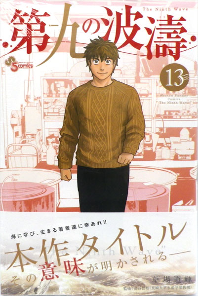 Daiku no Hadou (13) (BOOK)