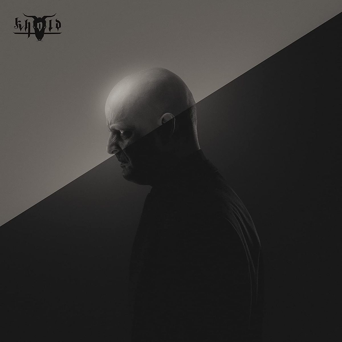 Svartsyn (LP)