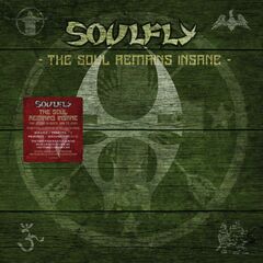 The Soul Remains Insane: The Studio Albums 1998 To 2004 [Box Set] (CD)