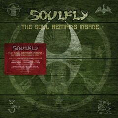The Soul Remains Insane: The Studio Albums 1998 To 2004 [Box Set] (LP)
