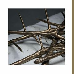 De Doorn (CD)