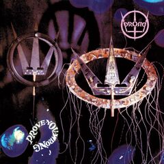 Prove You Wrong [180 Gram Vinyl] (LP)