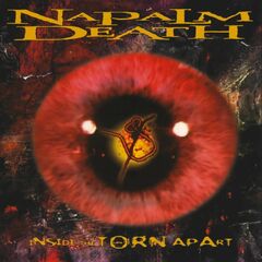 Inside The Torn Apart (CD)