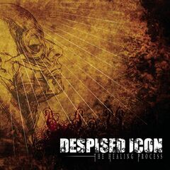 The Healing Process (CD)