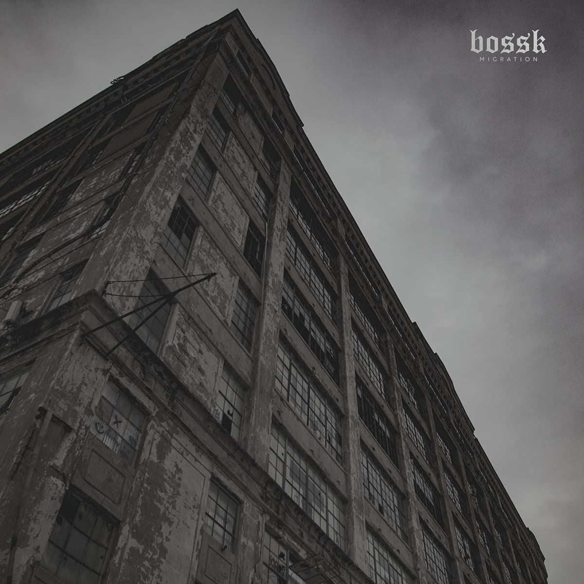 Migration [White w/ Clear Stripe Vinyl] (LP)