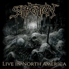 Live In North America [Gold & Black Splatter Vinyl] (LP)