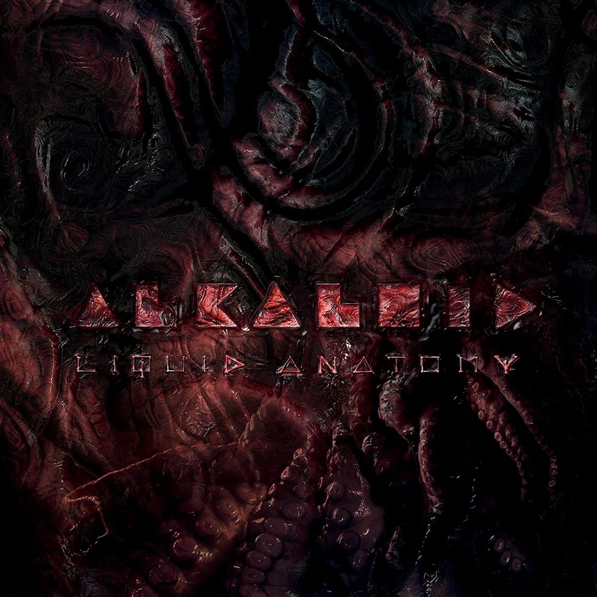 Liquid Anatomy (LP)