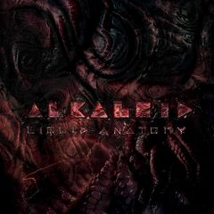 Liquid Anatomy (LP)
