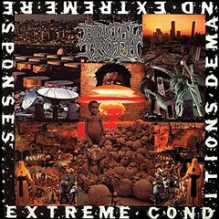 Extreme Conditions Demand Extreme Responses (CD)