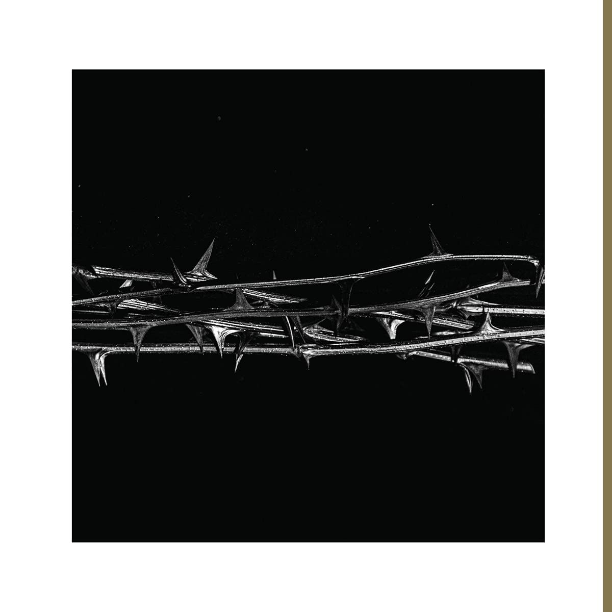 De Doorn (LP)