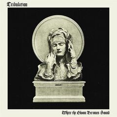 Where The Gloom Becomes Sound (CD)