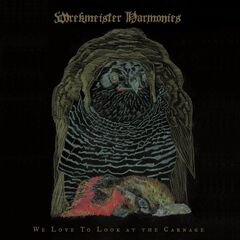 We Love To Look At The Carnage (LP)