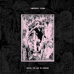 Before The Age Of Mirrors (LP)