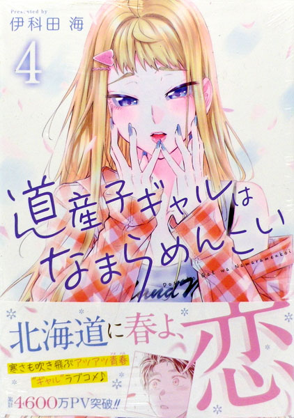Dosanko Gal wa Namaramenkoi (4) (BOOK)