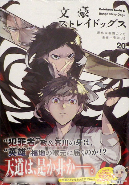 Bungo Stray Dogs (20) (BOOK)