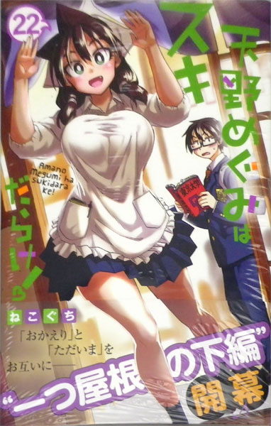 Amano Megumi wa Sukidarake! 22 (BOOK)