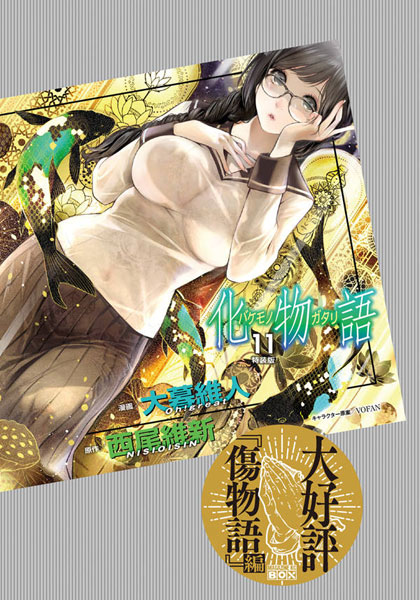 Bakemonogatari Vol.11 Special Package Edition (BOOK)