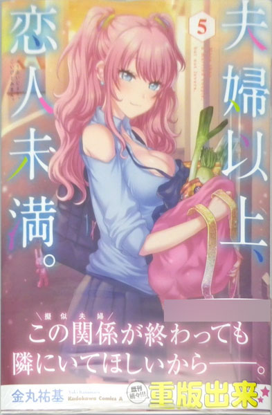 Fuufu Ijou, Koibito Miman. (5) (BOOK)