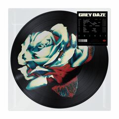Amends [Picture Disc LP  2] (LP)
