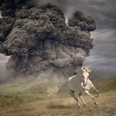 Year Of The Dark Horse (LP)