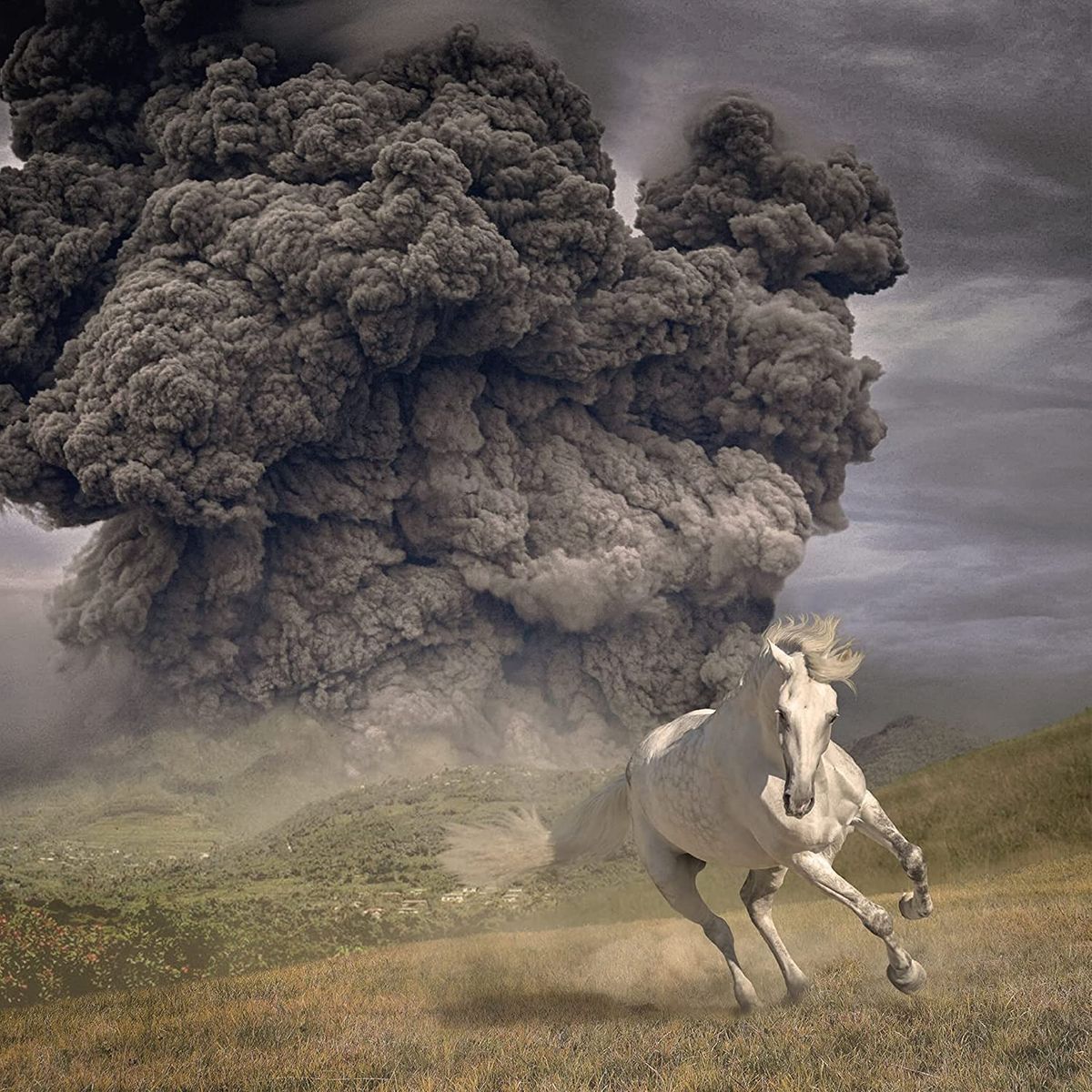 Year Of The Dark Horse [Gray Vinyl] (LP)