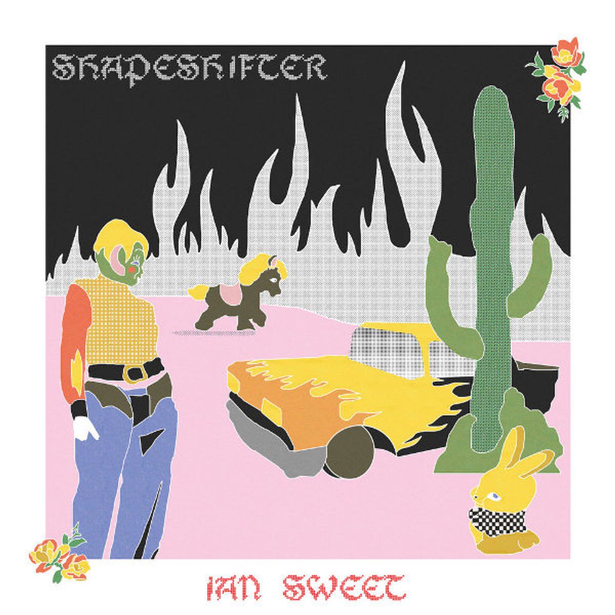 Shapeshifter (CD)