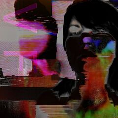 Vulgar Fashion (CD)