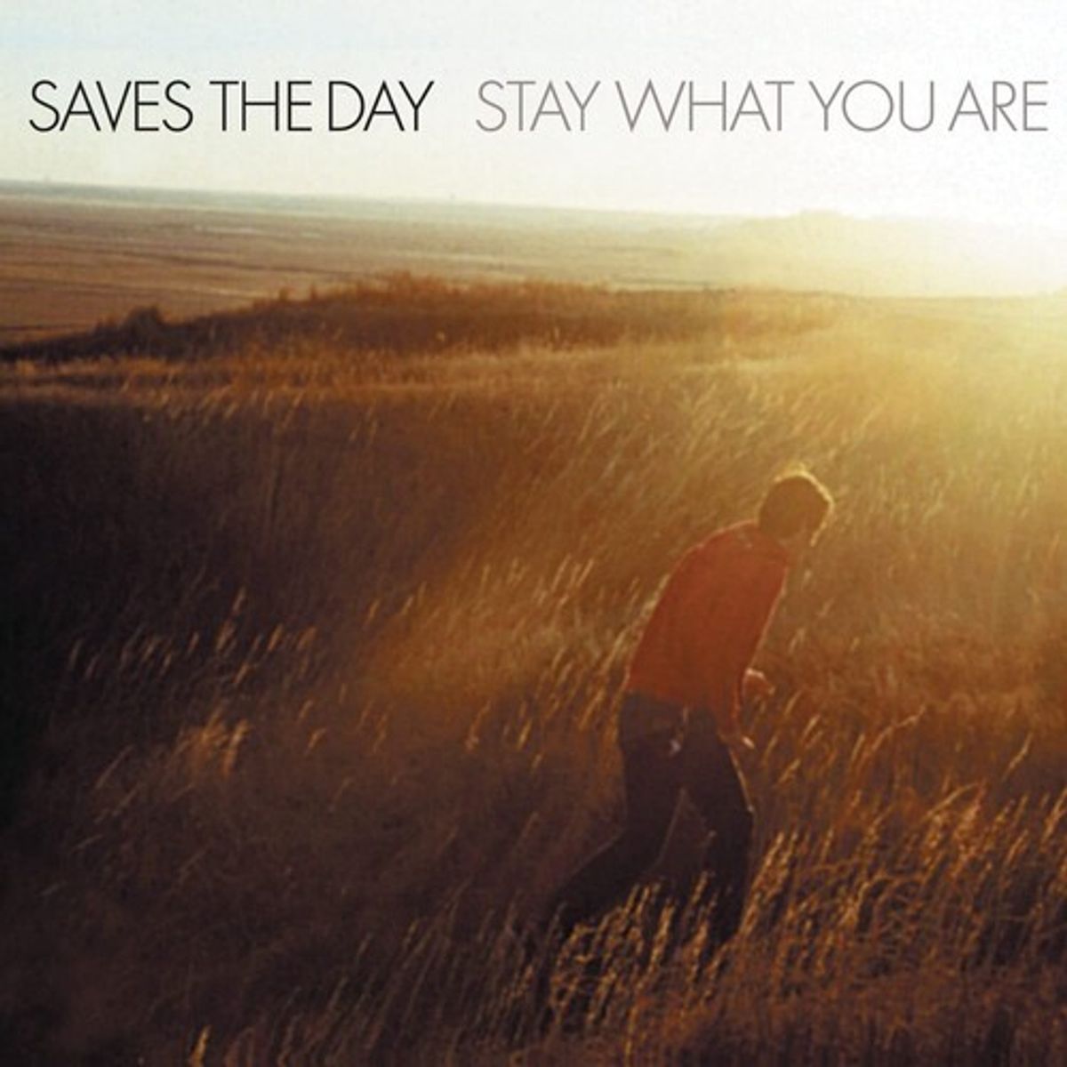 Stay What You Are [Brown Vinyl] (10)