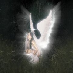 young forever (CD)