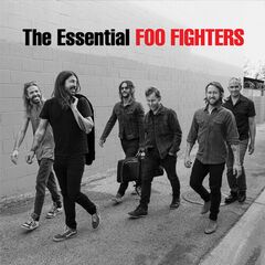 The Essential Foo Fighters (LP)