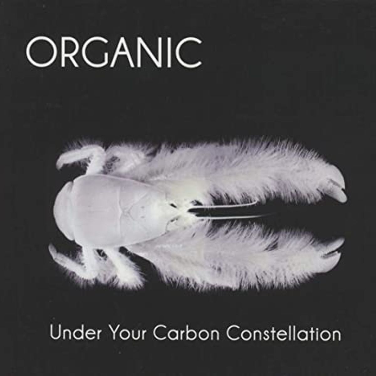 Under Your Carbon Constellation [Import] (CD)