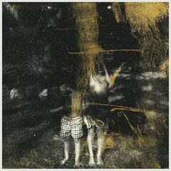 Voids (LP)