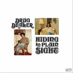 Hiding In Plain Sight (CD)