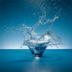 Moment Bends (CD)