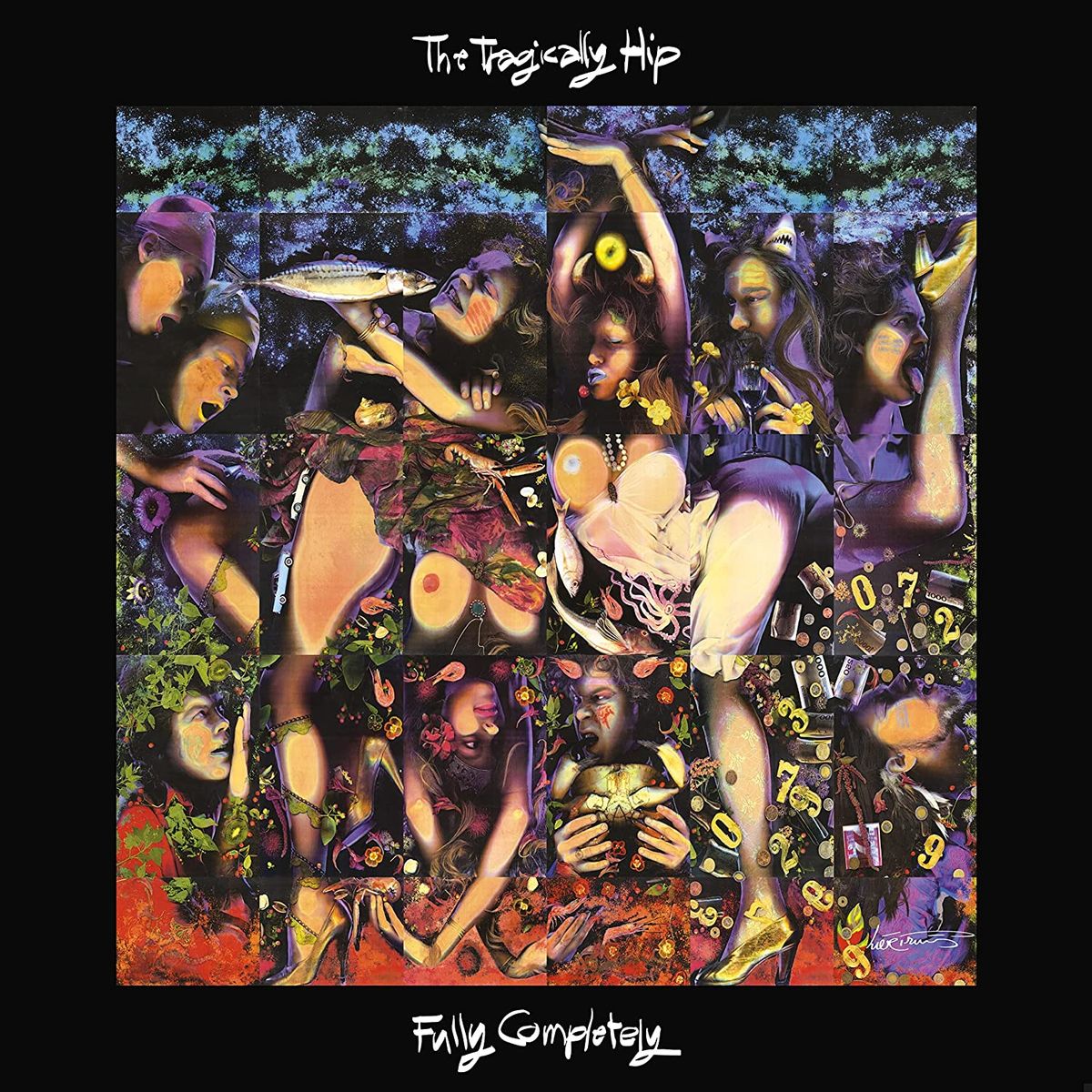 Fully Completely [30th Anniversary Deluxe Edition Box Set] (LP)