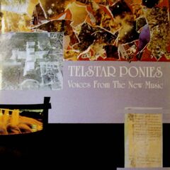 Voices From The New Music (CD)