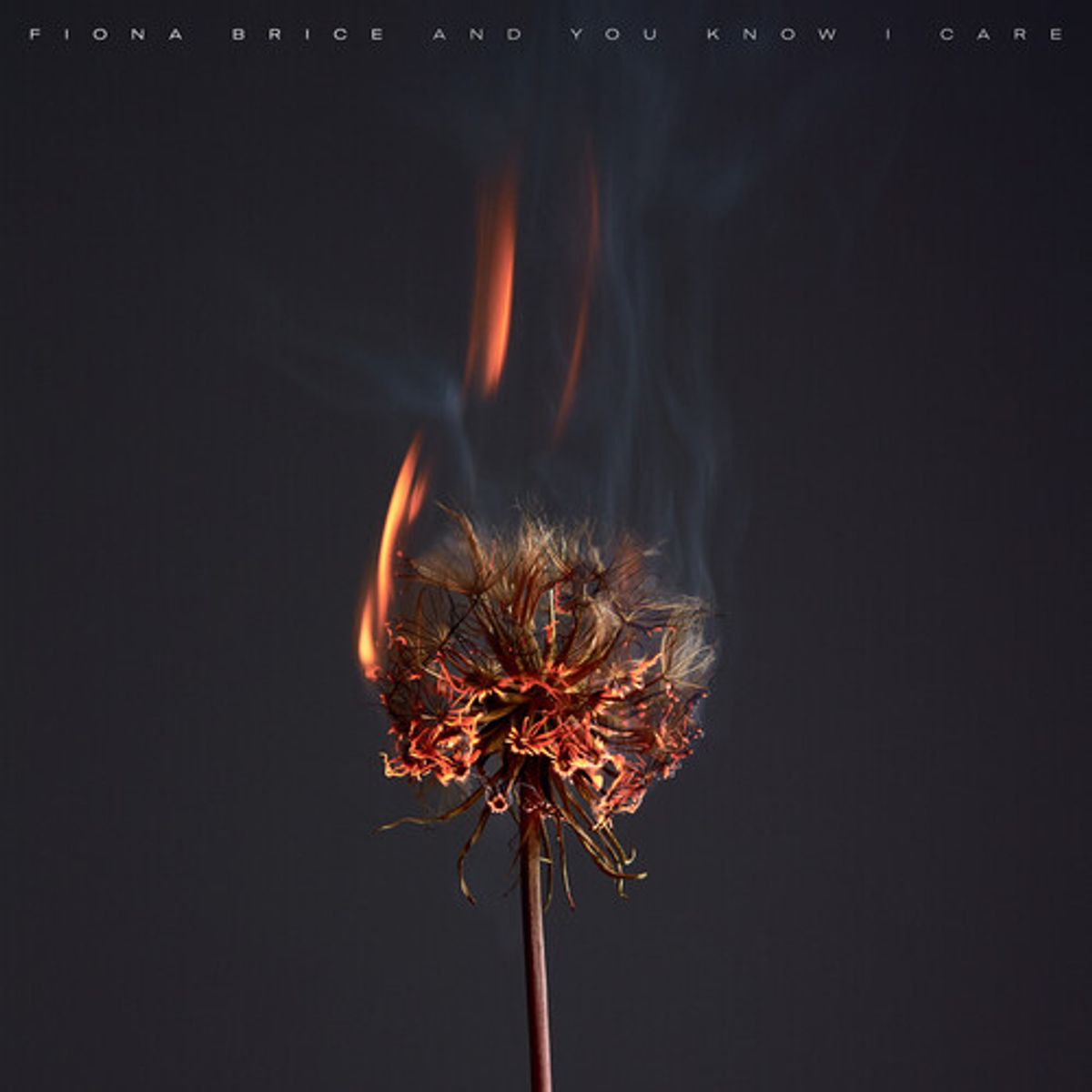 And You Know I Care (LP)