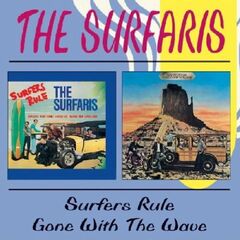 Surfers Rule/Gone With The Wav (CD)